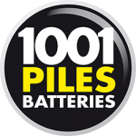 1001_piles